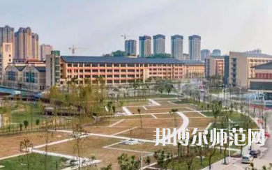 2023年內(nèi)江師范學(xué)院會(huì)計(jì)與統(tǒng)計(jì)核算專(zhuān)業(yè)介紹
